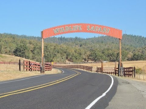 safari oregon