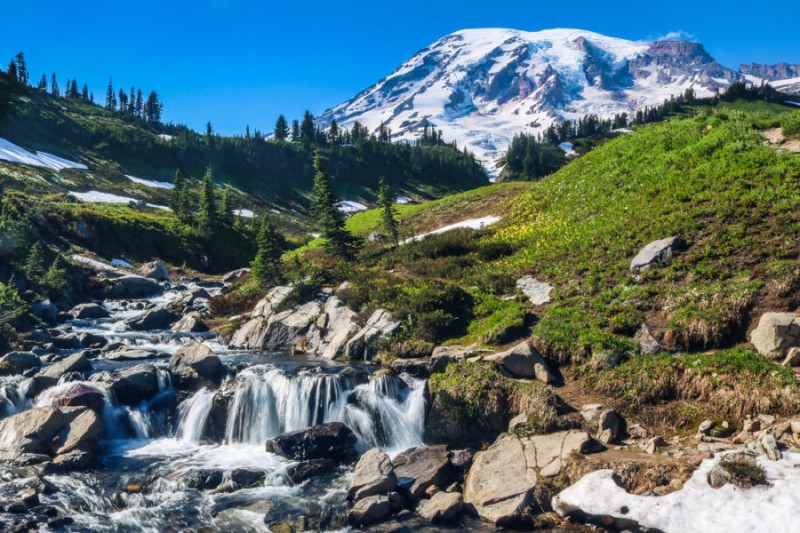 Edith Creek in Mount Rainier National Park, Washington